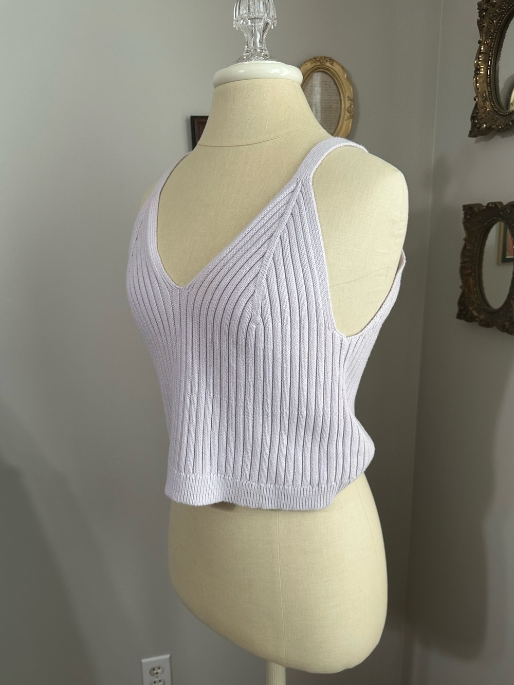 aerie Lilac Ribbed V-Neck Knit Crop Tank - Picture 3 of 6